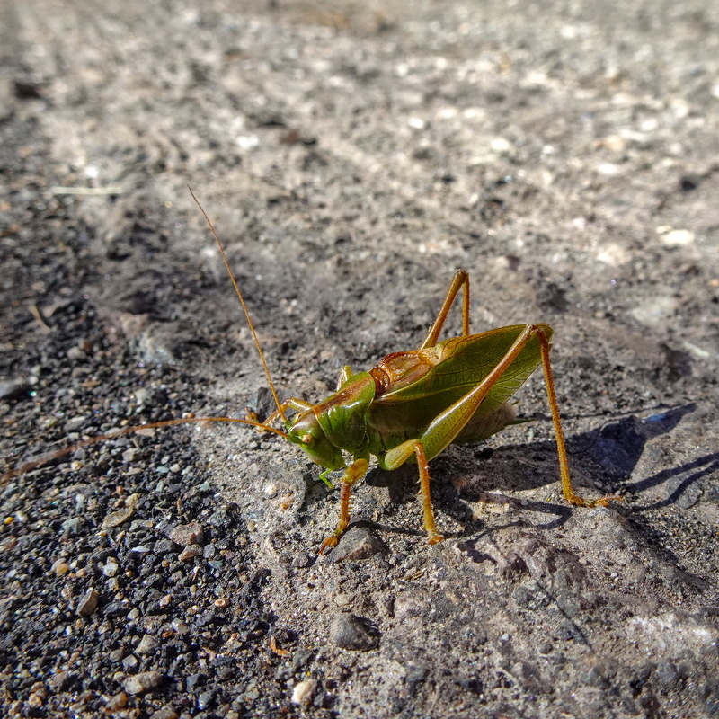 2025-10-03  10-30-27