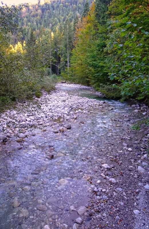 2021-10-01  17-12-25