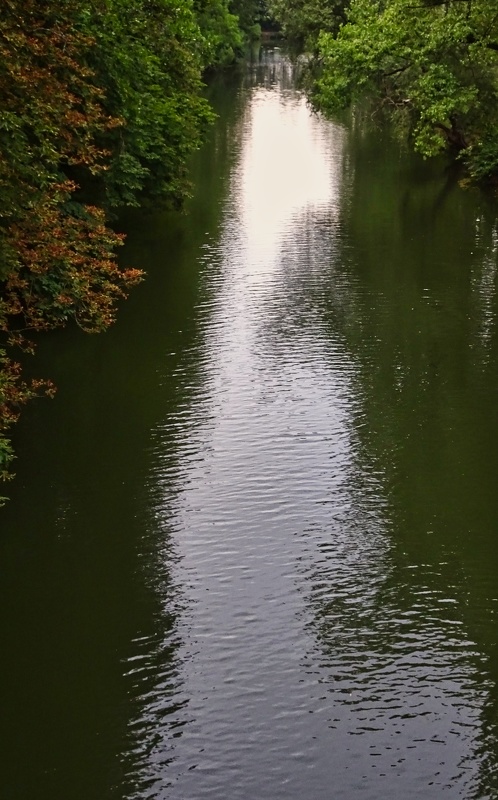 DSC02140