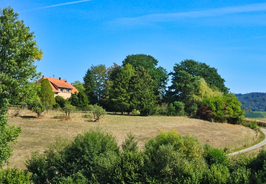 WT11 Weinbergtour Löwenstein