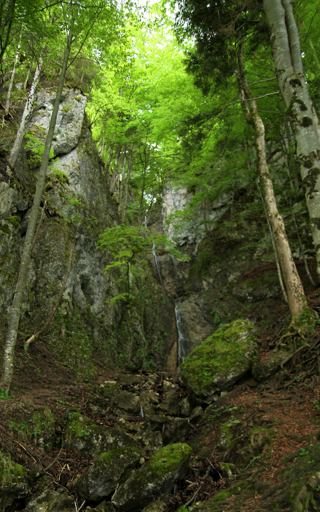 2014-06-05_um_09-47-26.jpg
