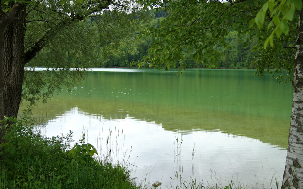 2014-06-05_um_10-52-23.jpg