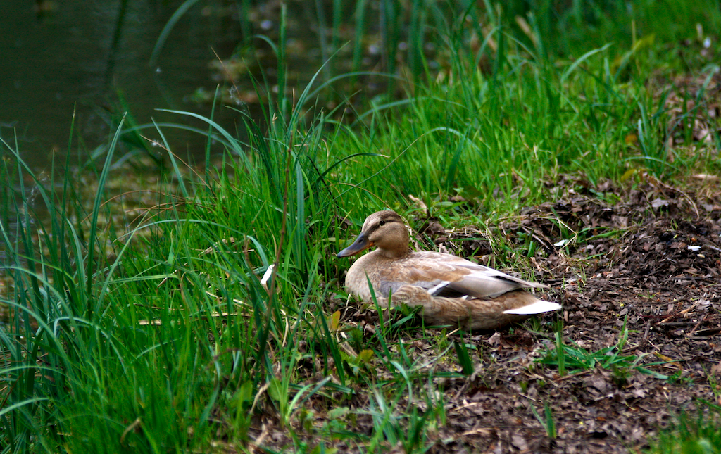 2012-04-29 um 14-48-36 - 2012-04-29_um_14-48-36.jpg 2012-04-29_um_14-48-36.jpg