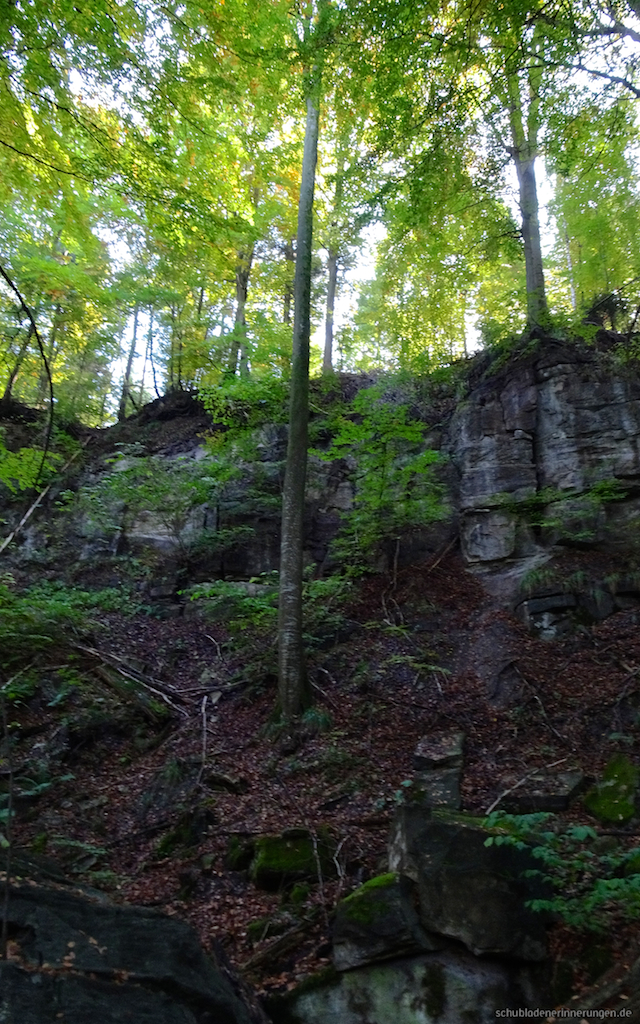 2016-10-23_um_12-41-29.jpg