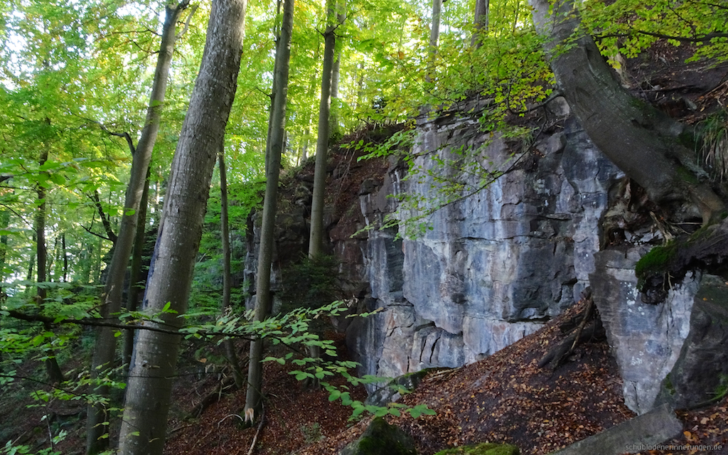2016-10-23_um_12-46-41.jpg