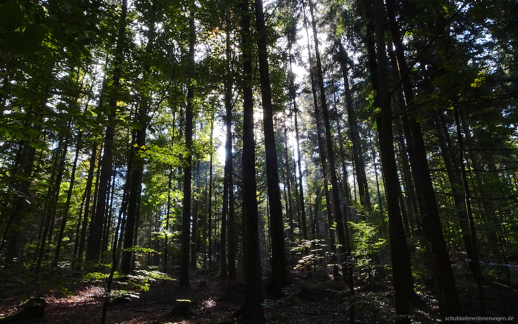 2016-10-23_um_12-50-55.jpg