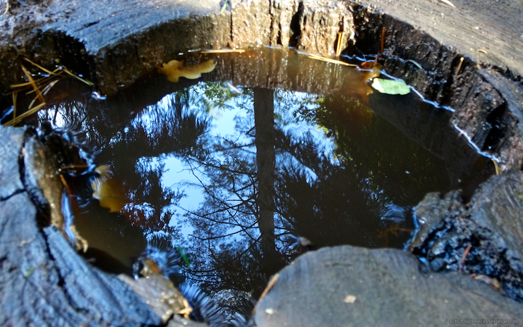 2016-10-23_um_13-21-25.jpg