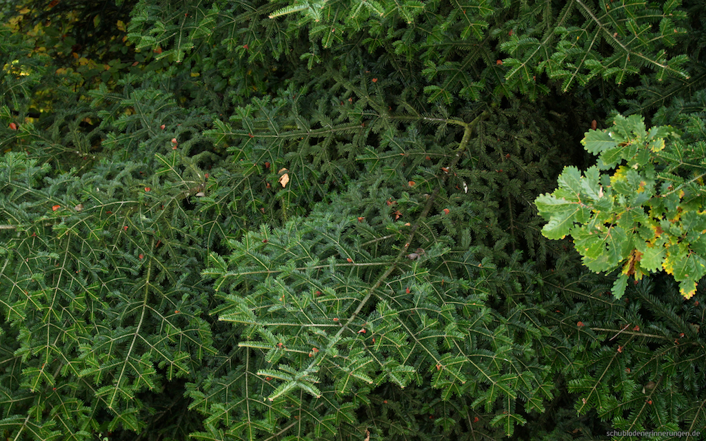 2016-10-23_um_13-26-20.jpg