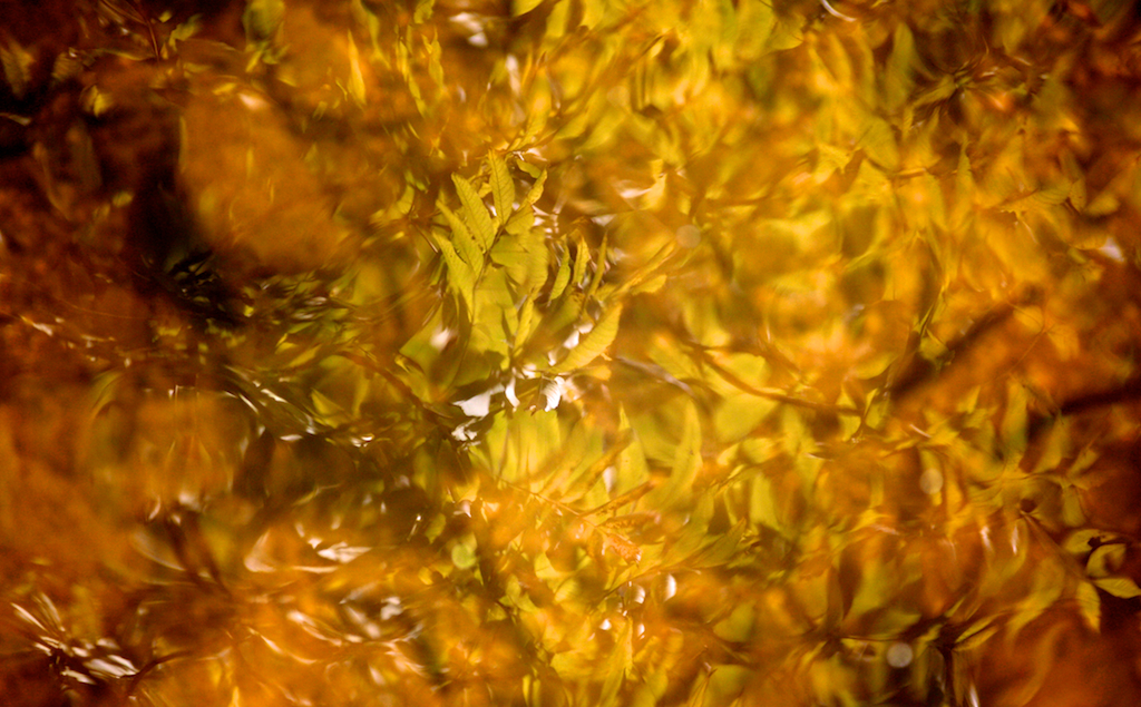 2012-10-08 110718 - 2012-10-08__110718.jpg 2012-10-08__110718.jpg