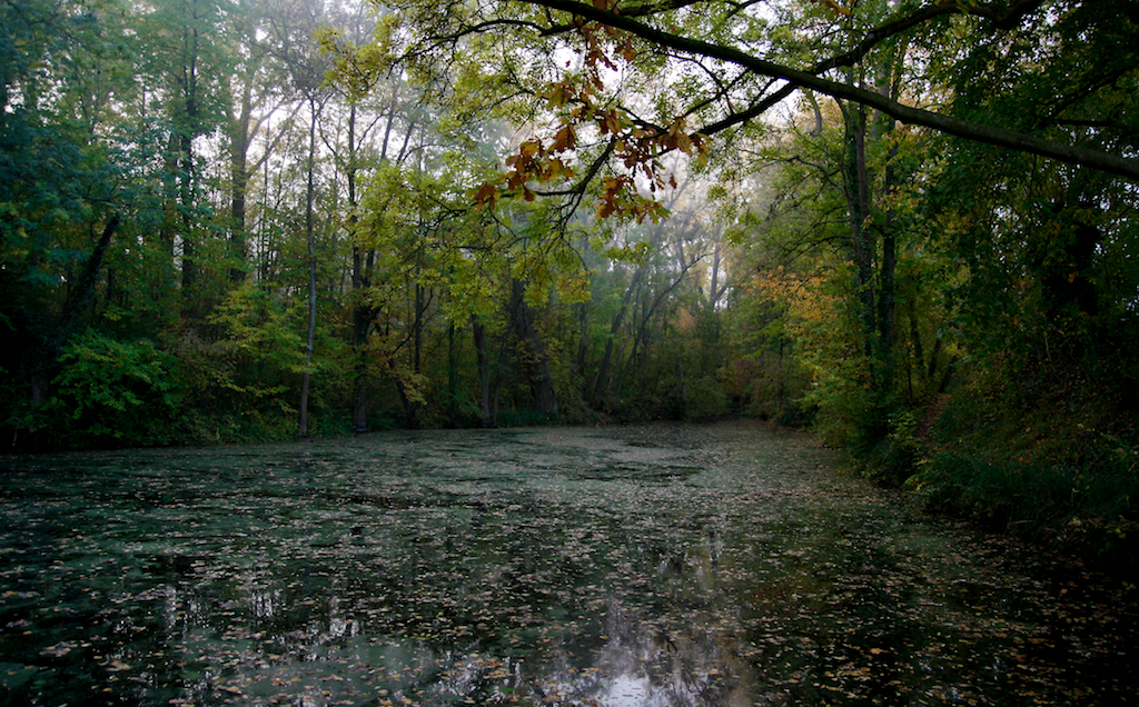 2012-10-20 083539 - 2012-10-20__083539.jpg 2012-10-20__083539.jpg