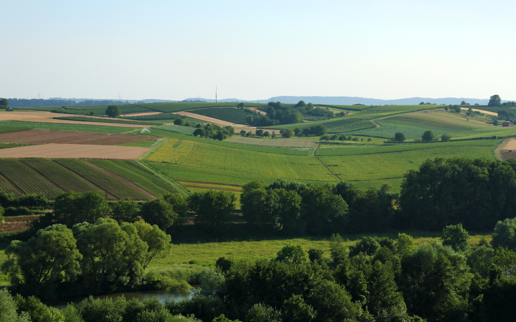2013-07-19_um_18-38-49.jpg