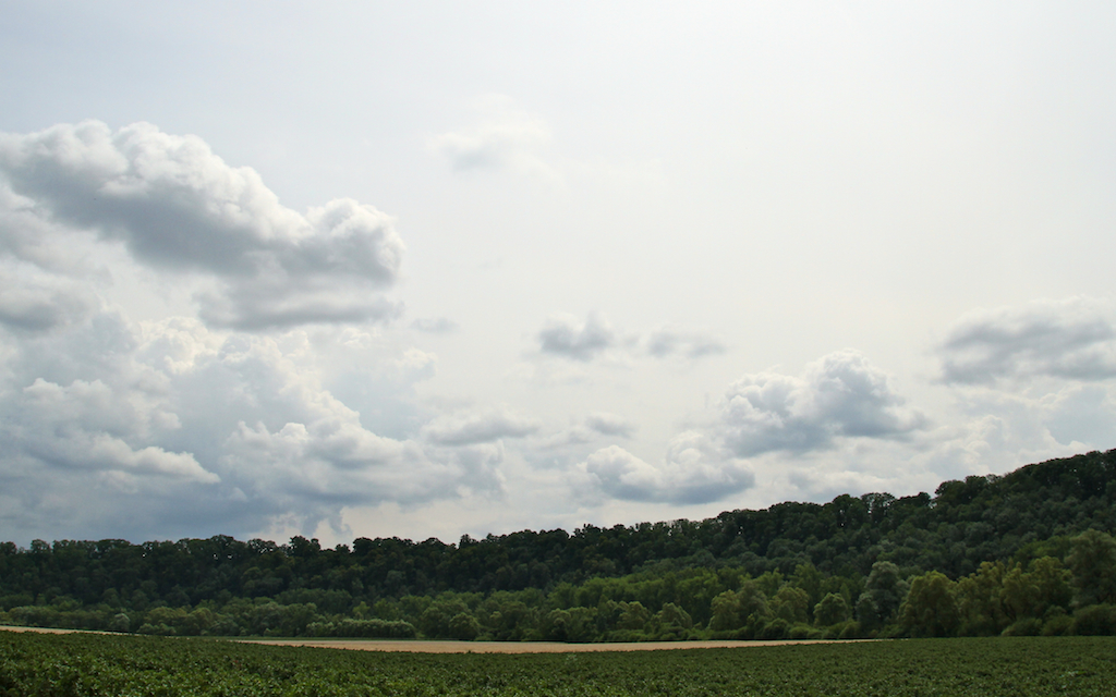 2014-07-13_um_13-37-19.jpg