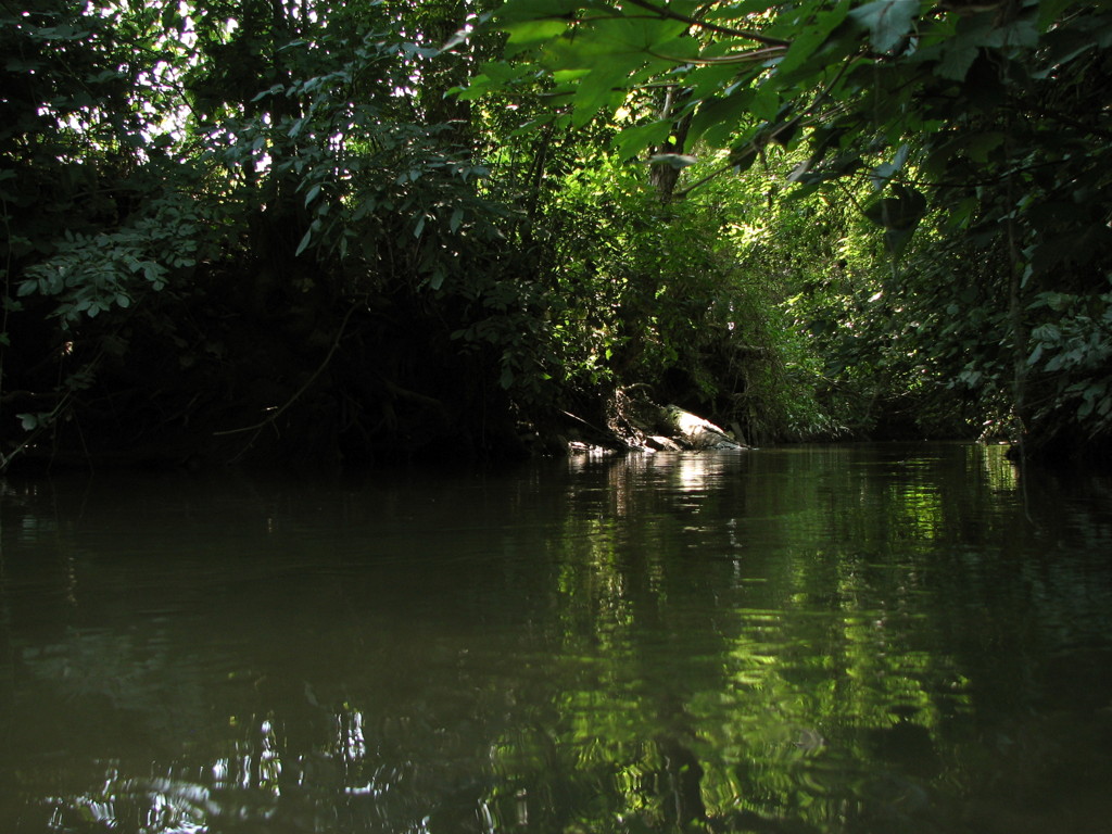 2008-08-17__133610.jpg