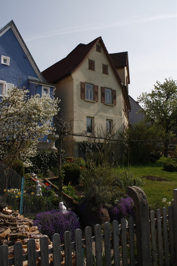 2009-04-10__111704.jpg