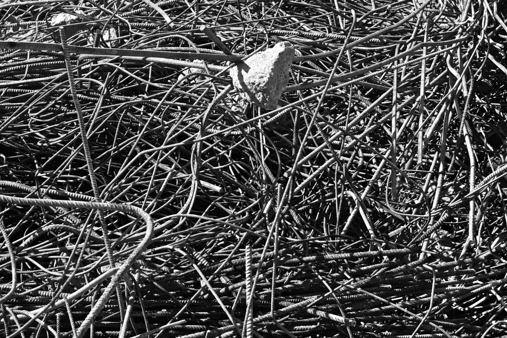 2009-05-17__133535.jpg