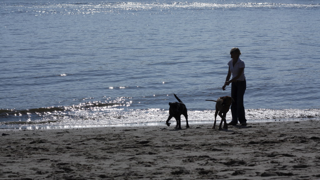 2009-09-27__141021.jpg