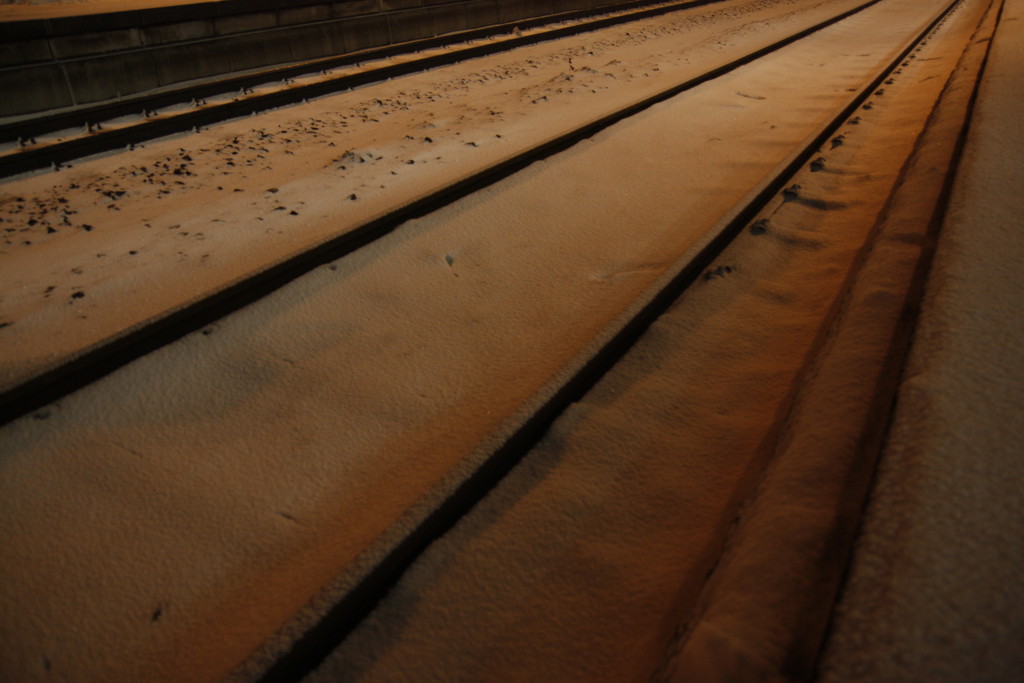 2010-02-01__205437.jpg