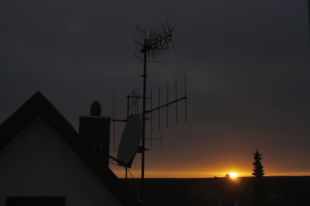 2010-08-06__204652.jpg