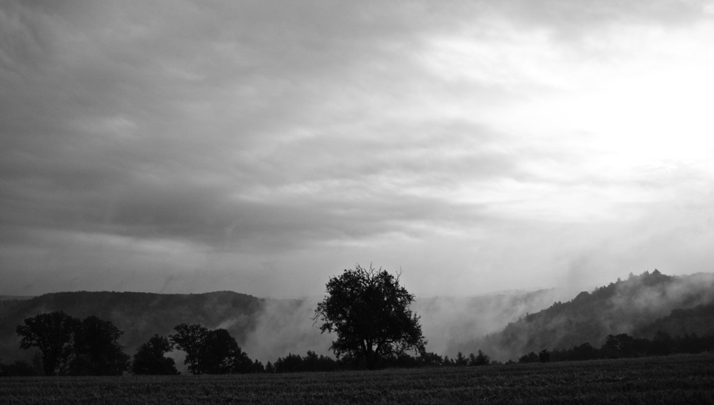 2010-08-13 075923 2 - 2010-08-13__075923_2.jpg 2010-08-13__075923_2.jpg
