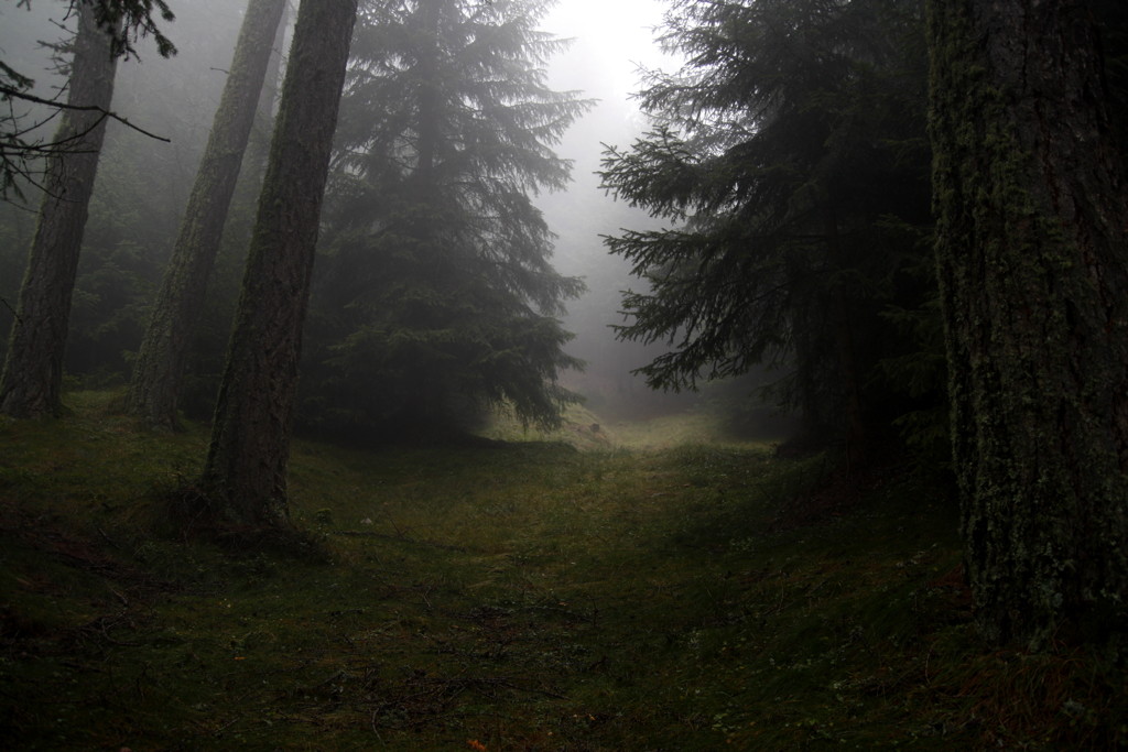 2010-09-28__102513.jpg
