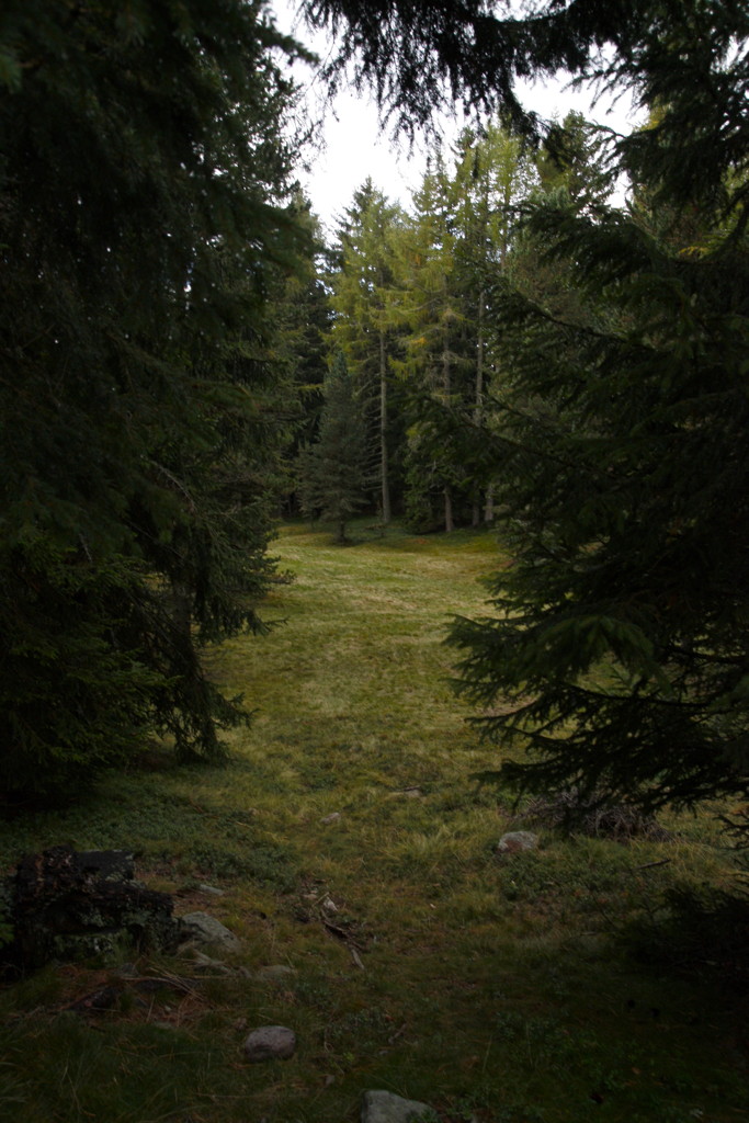 2010-09-28__134434.jpg