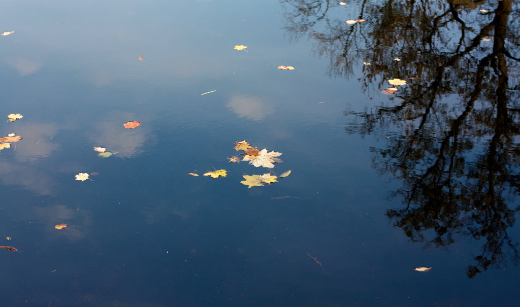 2010-10-23__131539.jpg
