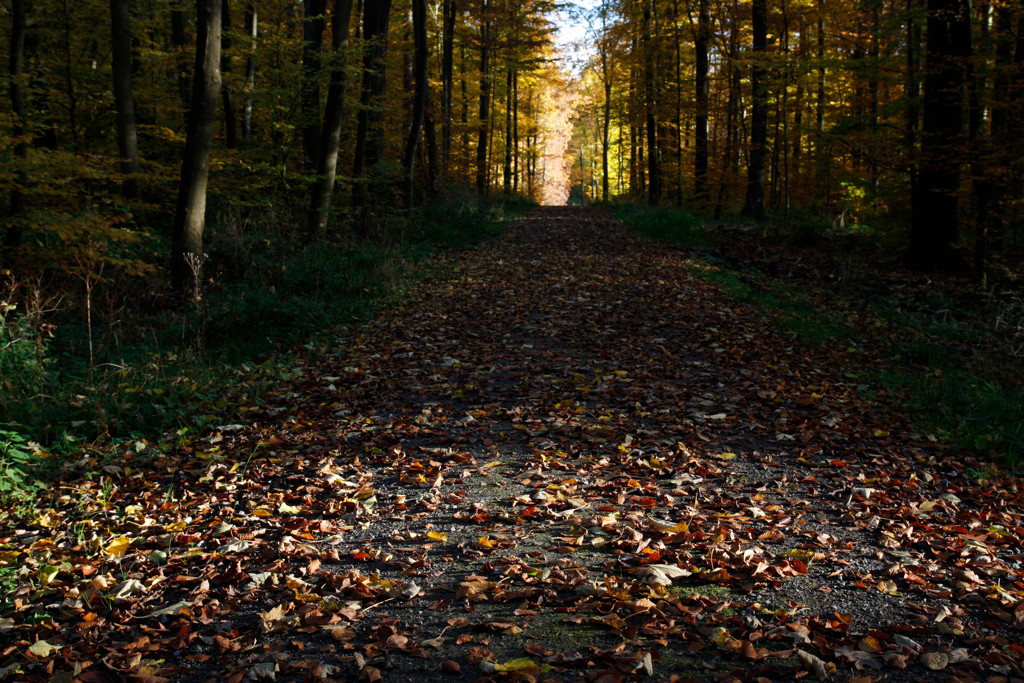 2010-10-29__164918.jpg