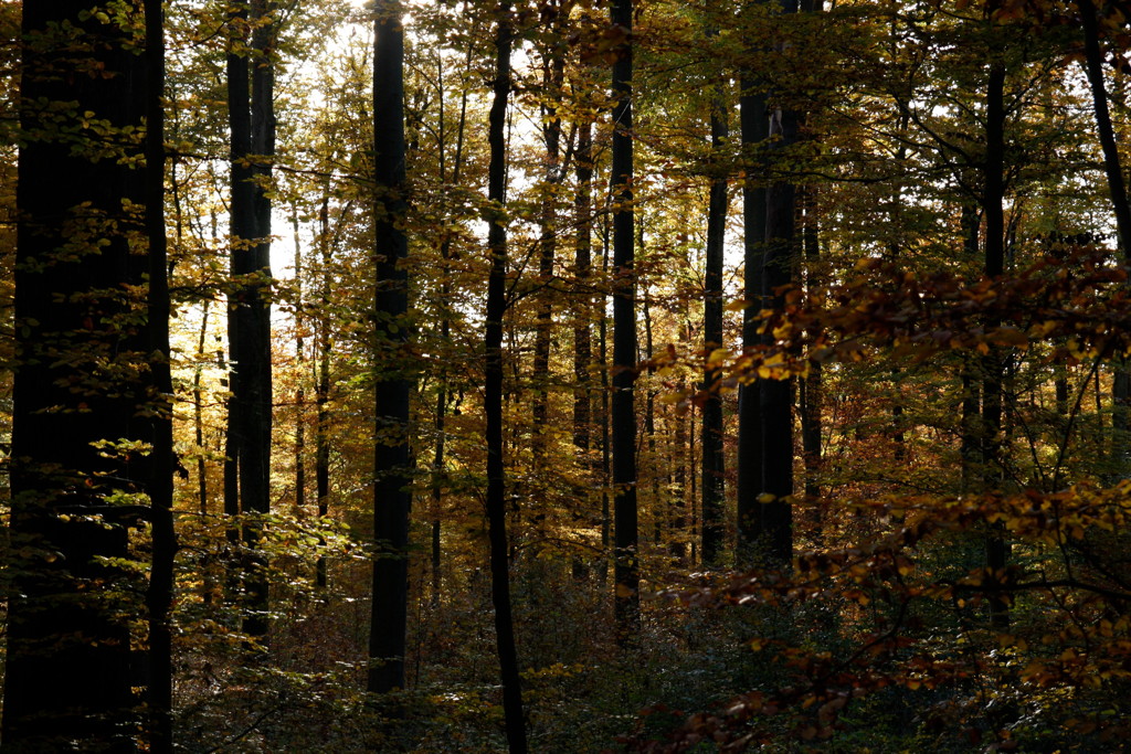 2010-10-29__165758.jpg