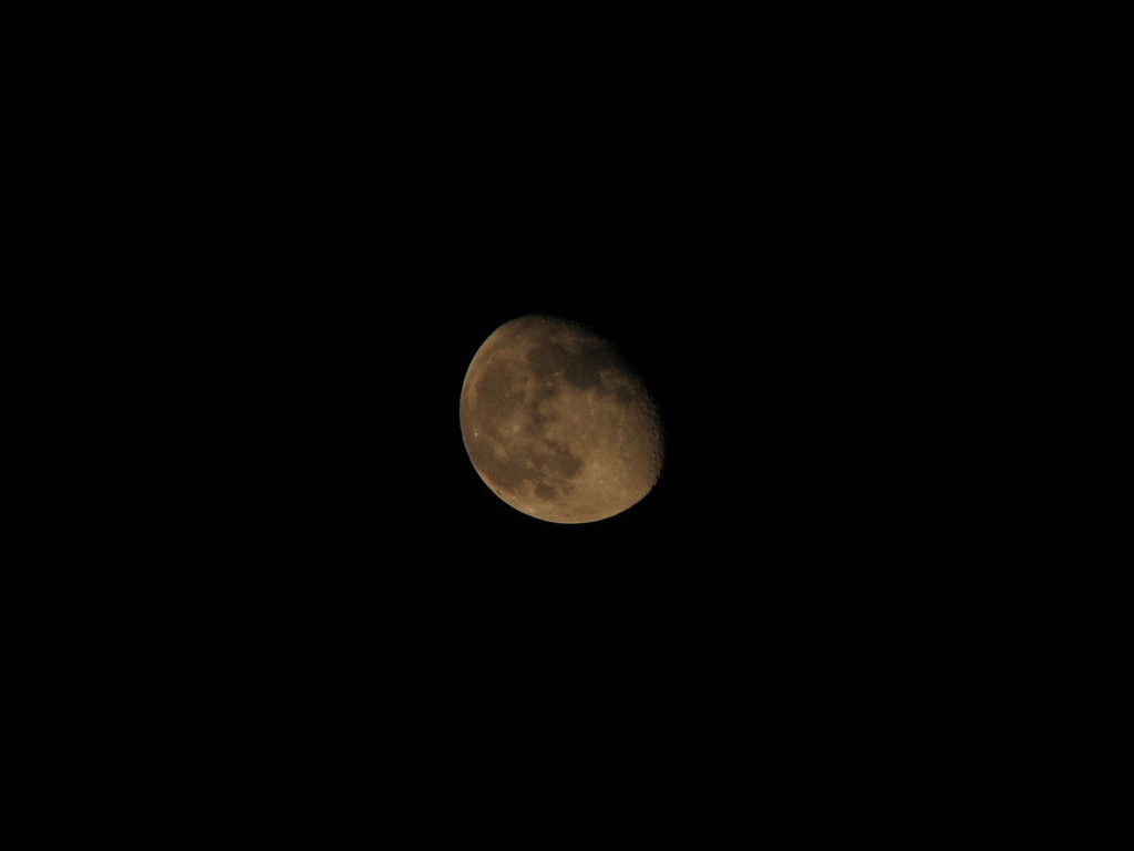 2007-11-27__215720.jpg
