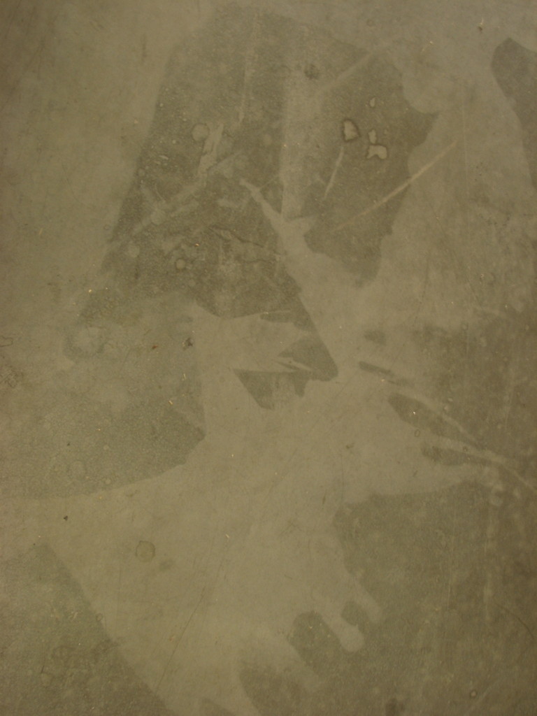 2008-03-13__111623.jpg