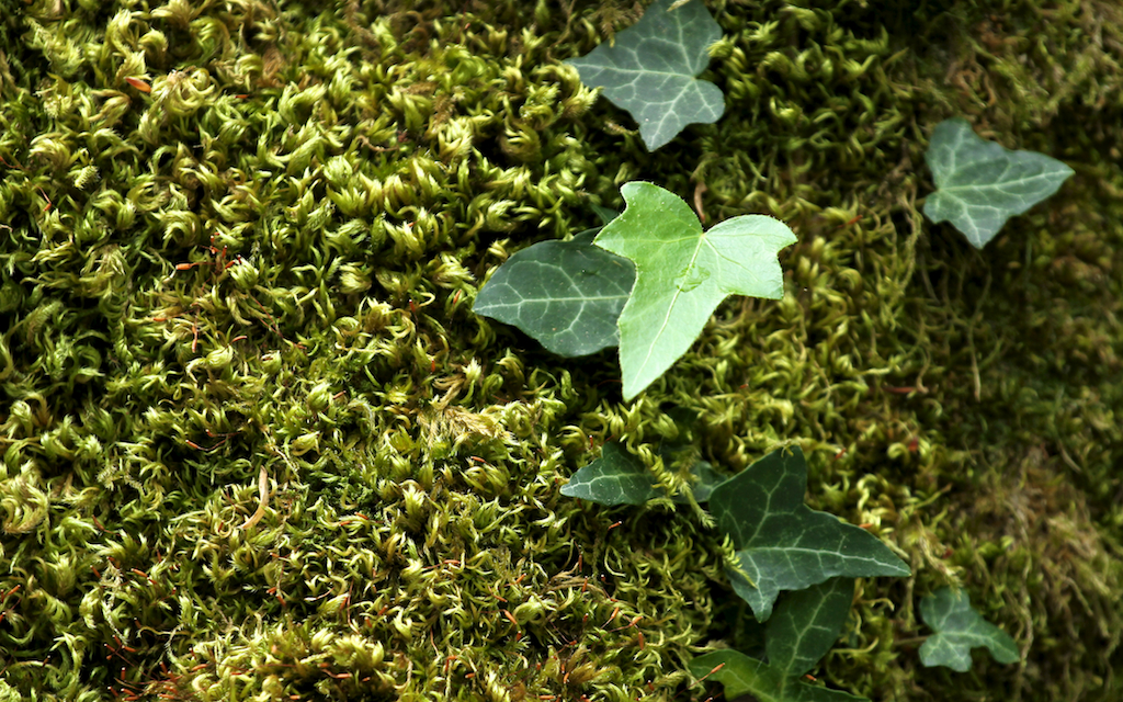 2014-04-26 um 13-16-18 - 2014-04-26_um_13-16-18.jpg 2014-04-26_um_13-16-18.jpg