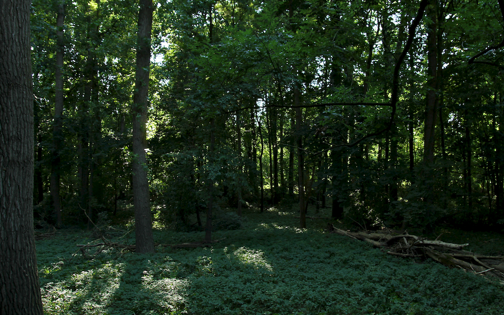 2013-07-19_um_18-04-11.jpg