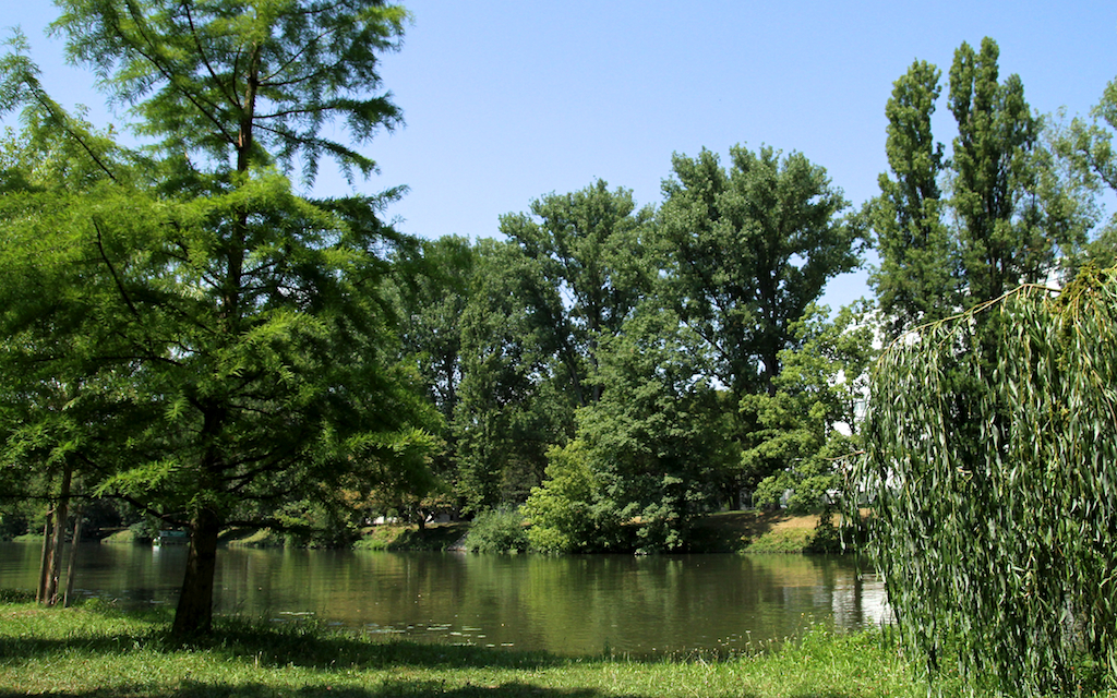 2013-07-27_um_13-12-46.jpg