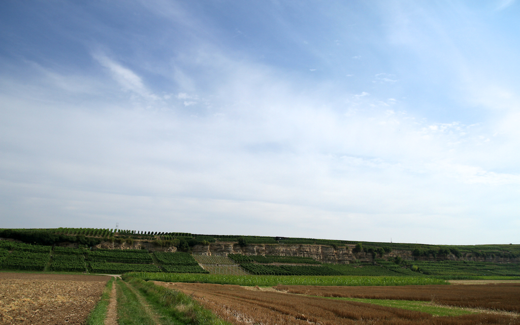 2013-08-24_um_11-21-32.jpg