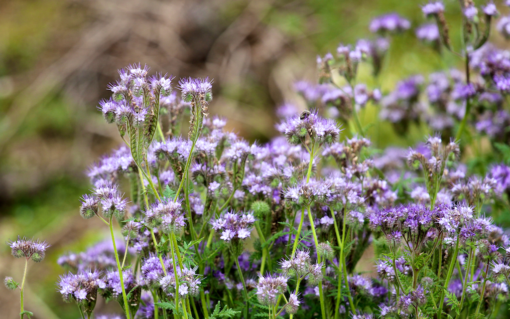2014-05-10_um_12-04-28.jpg