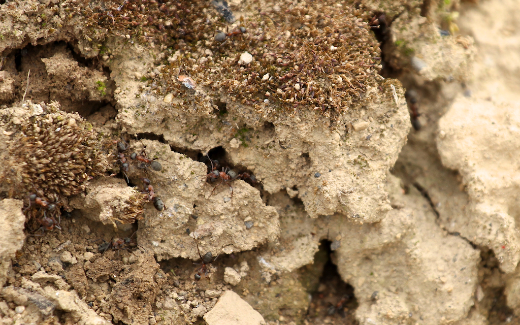 2014-05-10_um_12-11-06.jpg