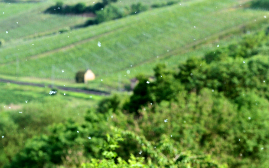 2014-05-21_um_18-06-59.jpg