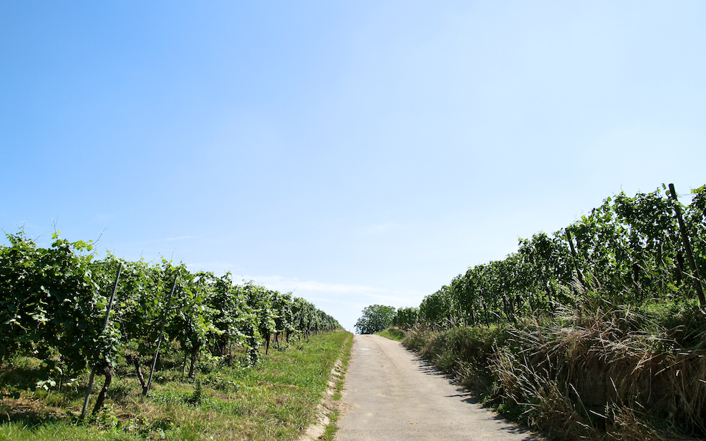 2014-07-19_um_11-50-48.jpg