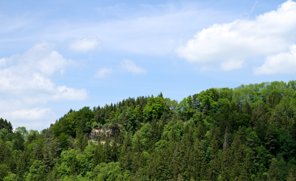 2013-06-08_um_14-45-01.jpg
