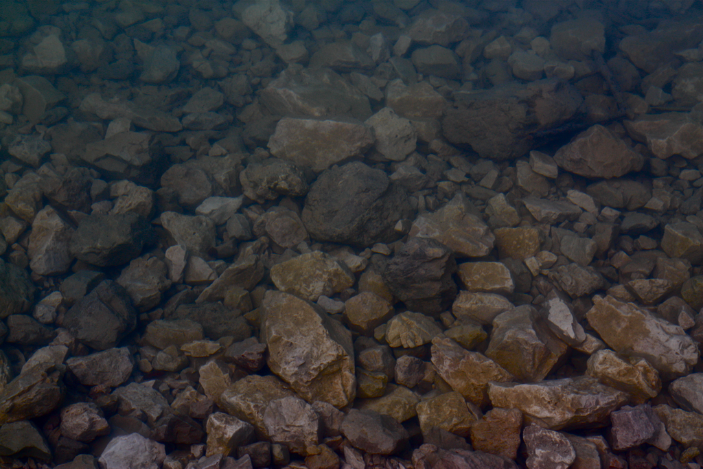 2010-09-29__114426.jpg
