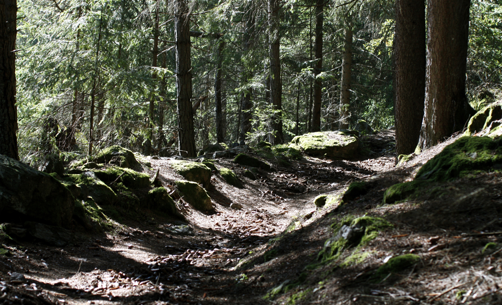 2011-09-27__125524.jpg