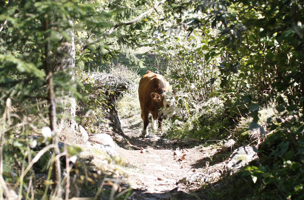 2011-09-27__125756.jpg