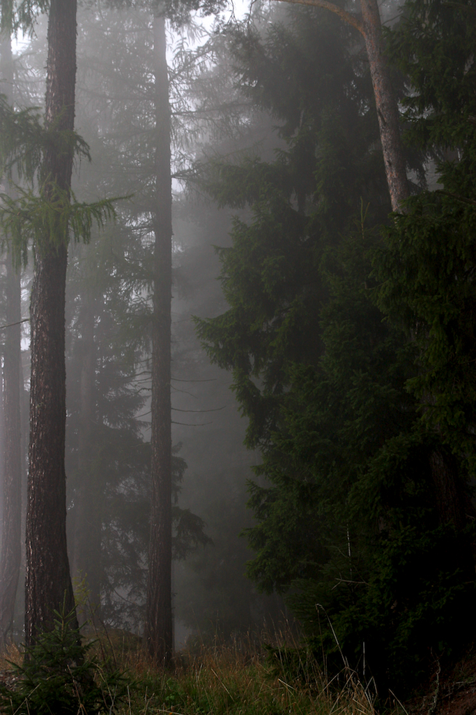 2012-09-24__102845.jpg