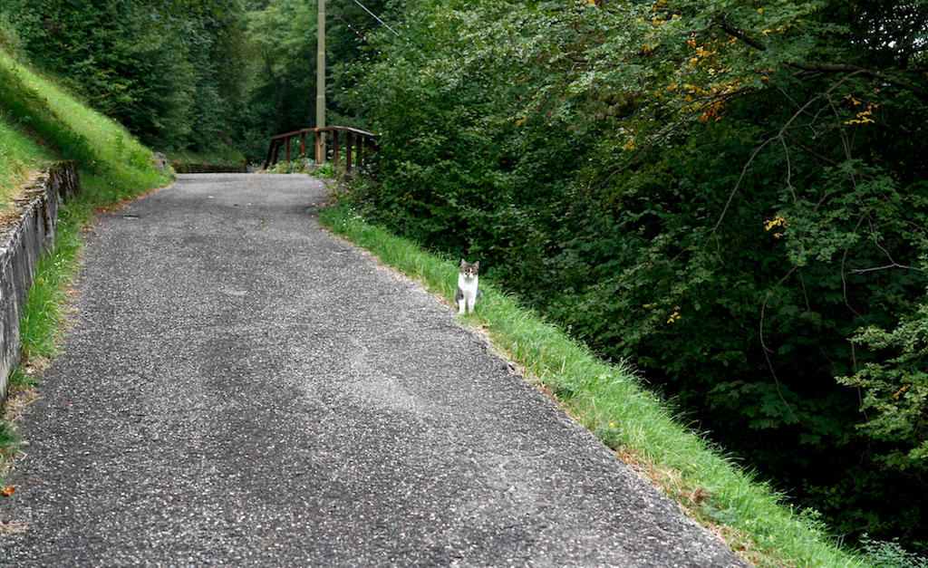 2012-09-24__123736.jpg