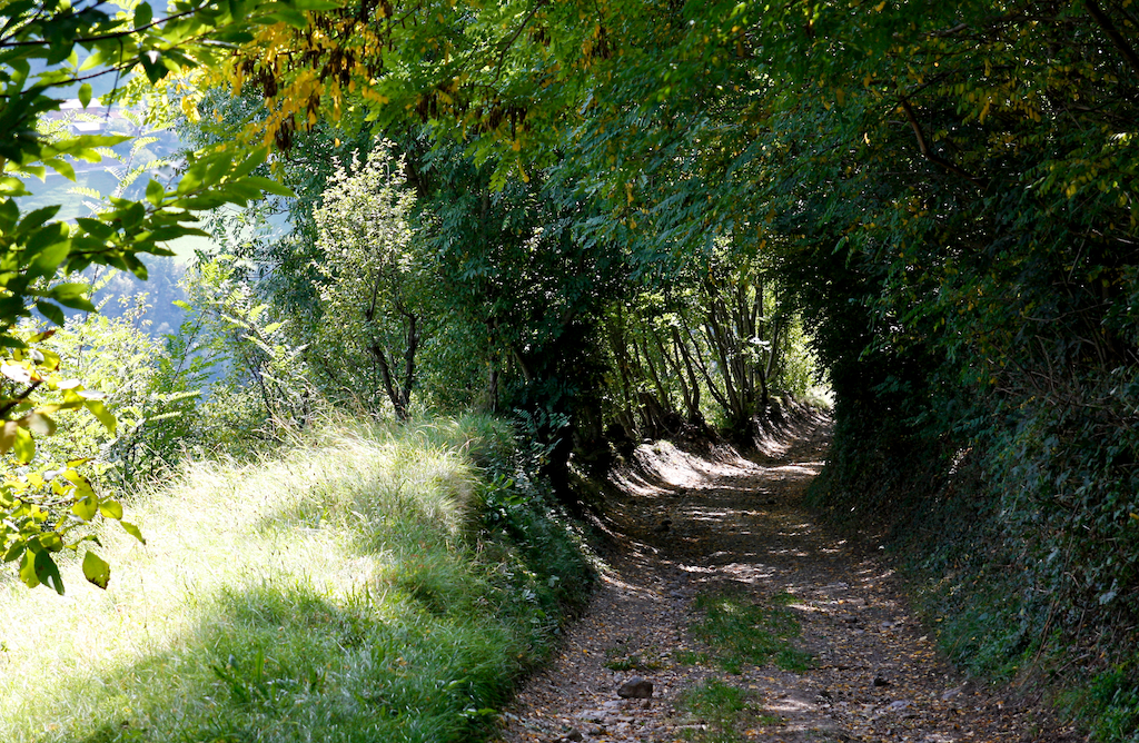 2012-09-28__113134.jpg
